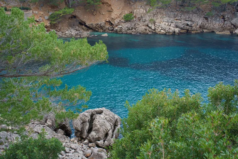 Poseidonia blue, Mallorca